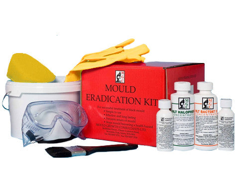 Condensation mould removal kit